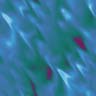 Textures 429